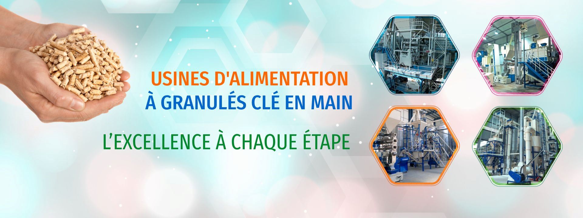 Solutions de Granulation d'Aliments de Type Professionnel